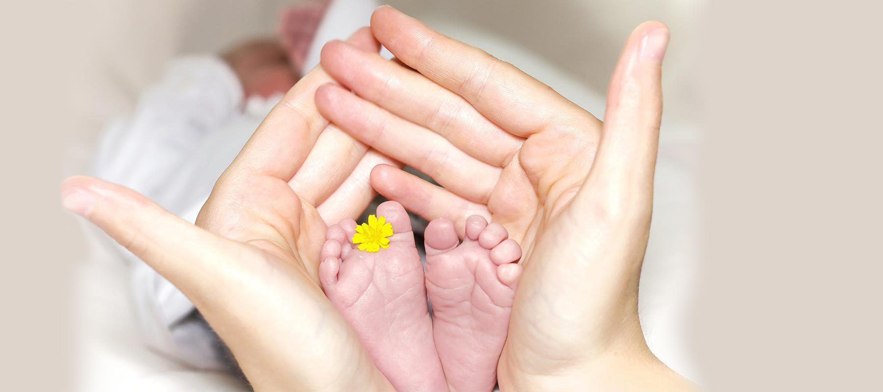 Große Hände halten kleine Babyfüße sorgsam welche mit einer gelben Blume verziert sind