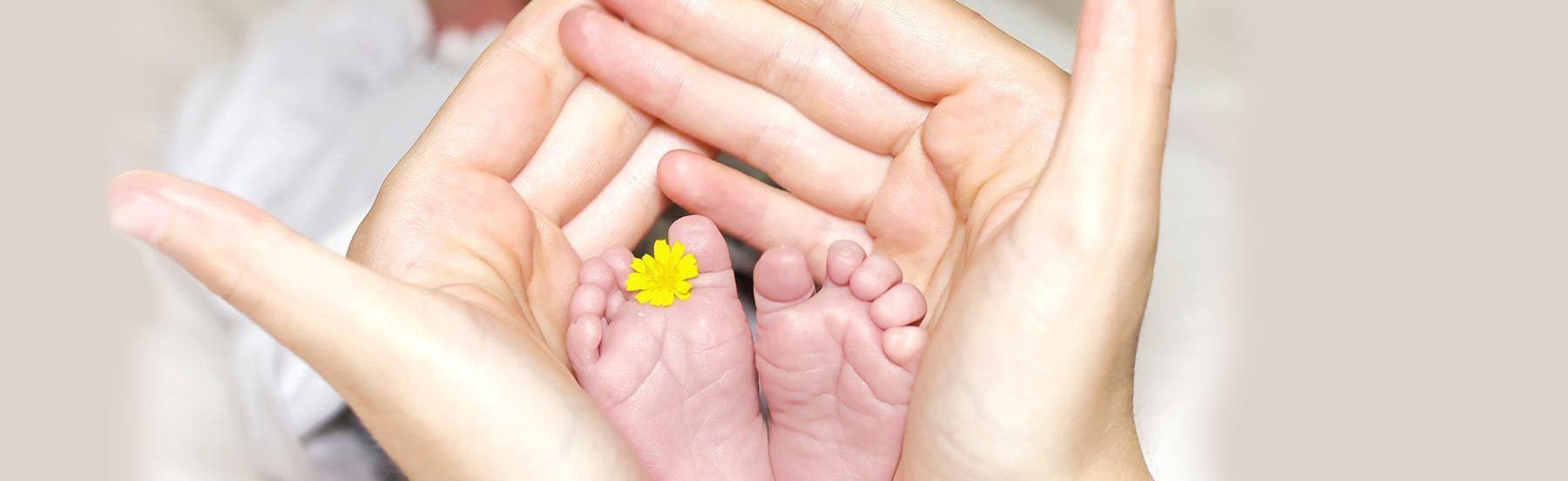 Große Hände halten kleine Babyfüße sorgsam welche mit einer gelben Blume verziert sind